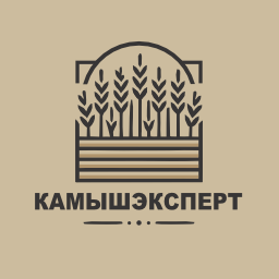KamyshExpert